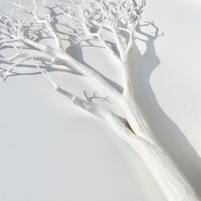 CORAL BRANCH, White 65cm